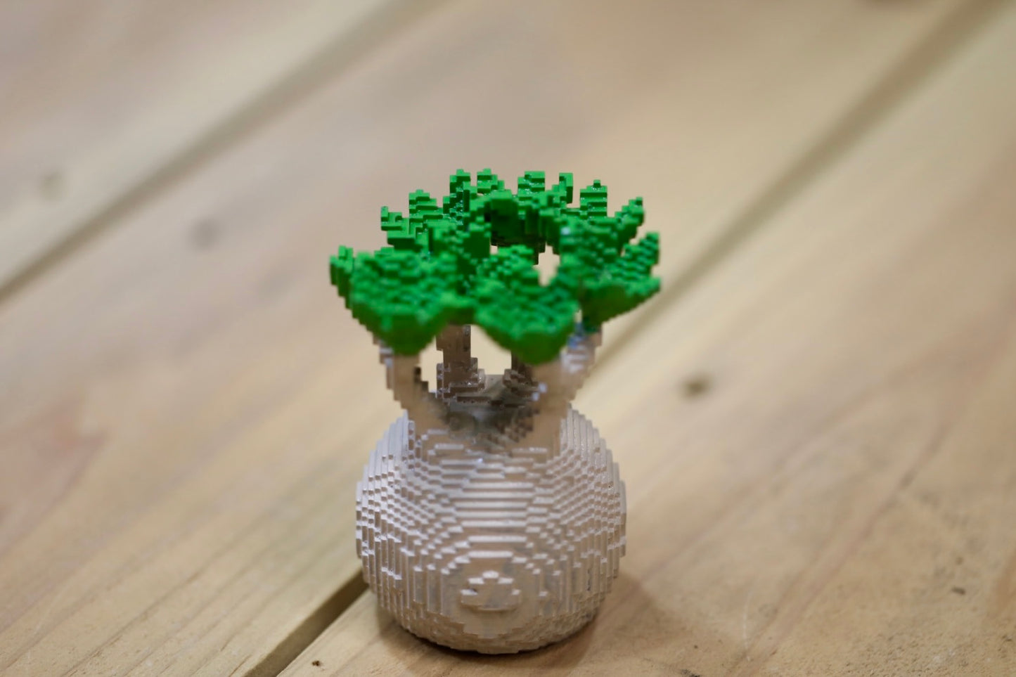 グラキリスフィギュアB VOXEL