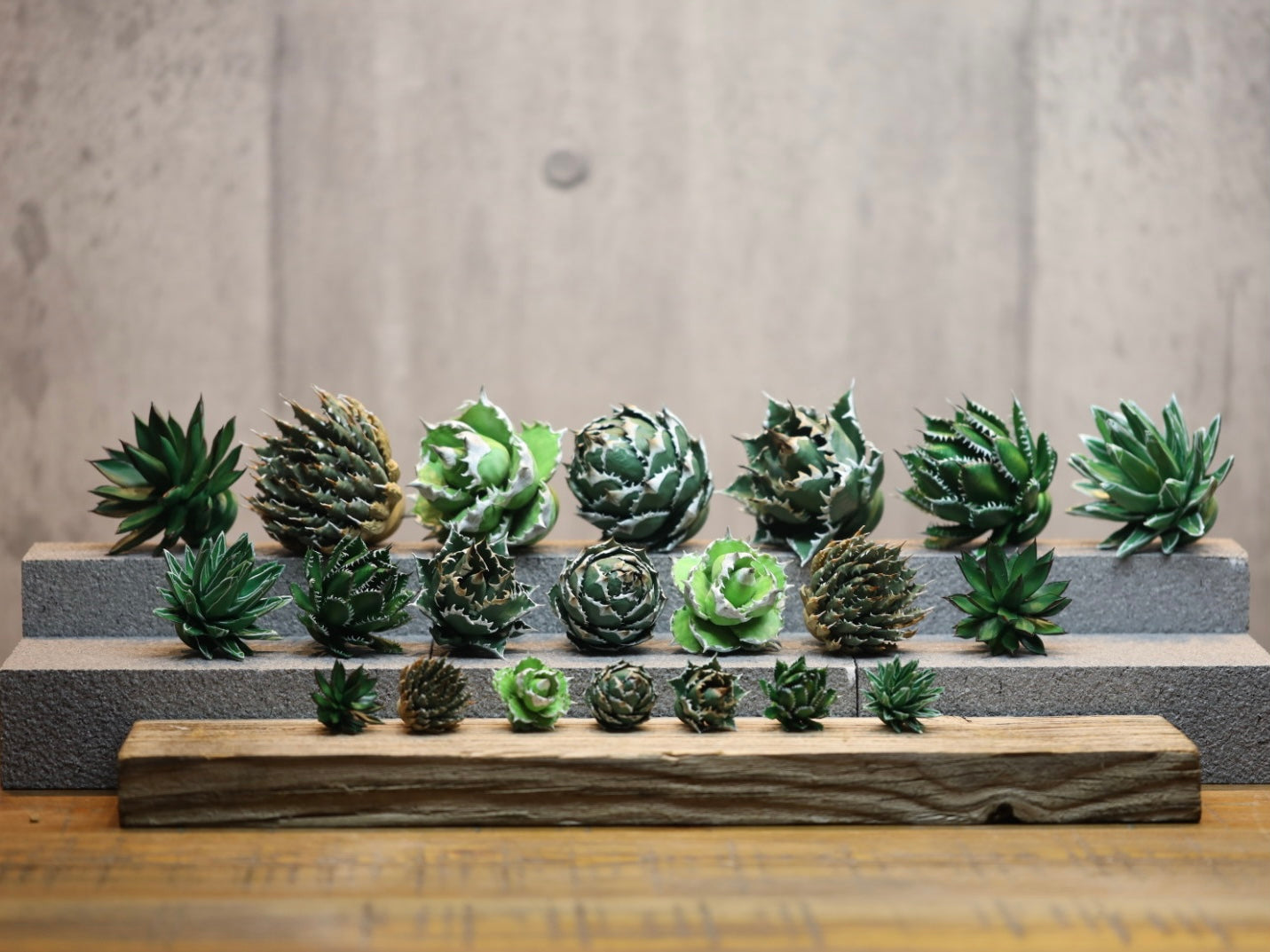 AGAVE Real Collection – LOBINDON