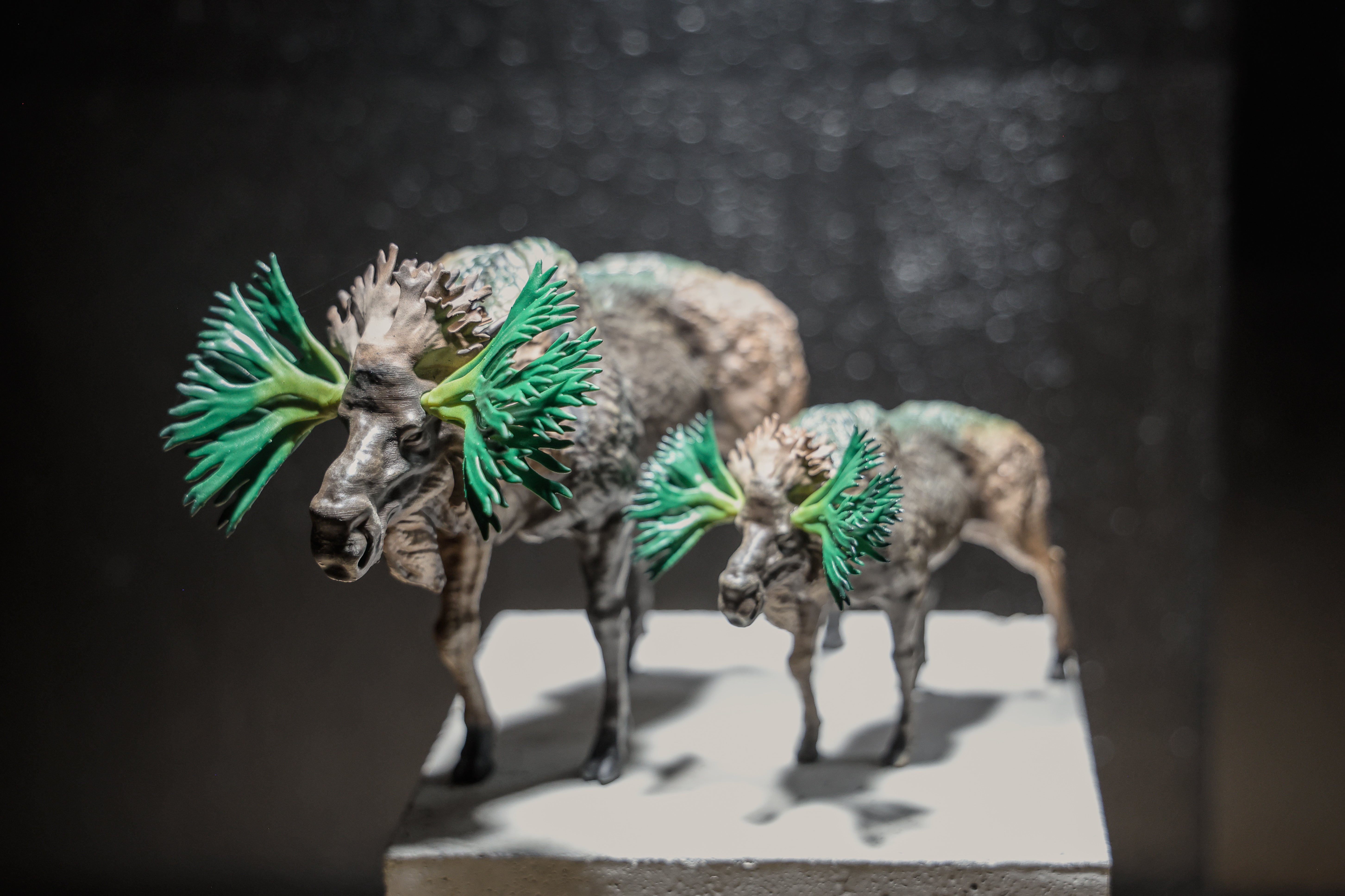 lobindon – Page 3 – LOBINDON