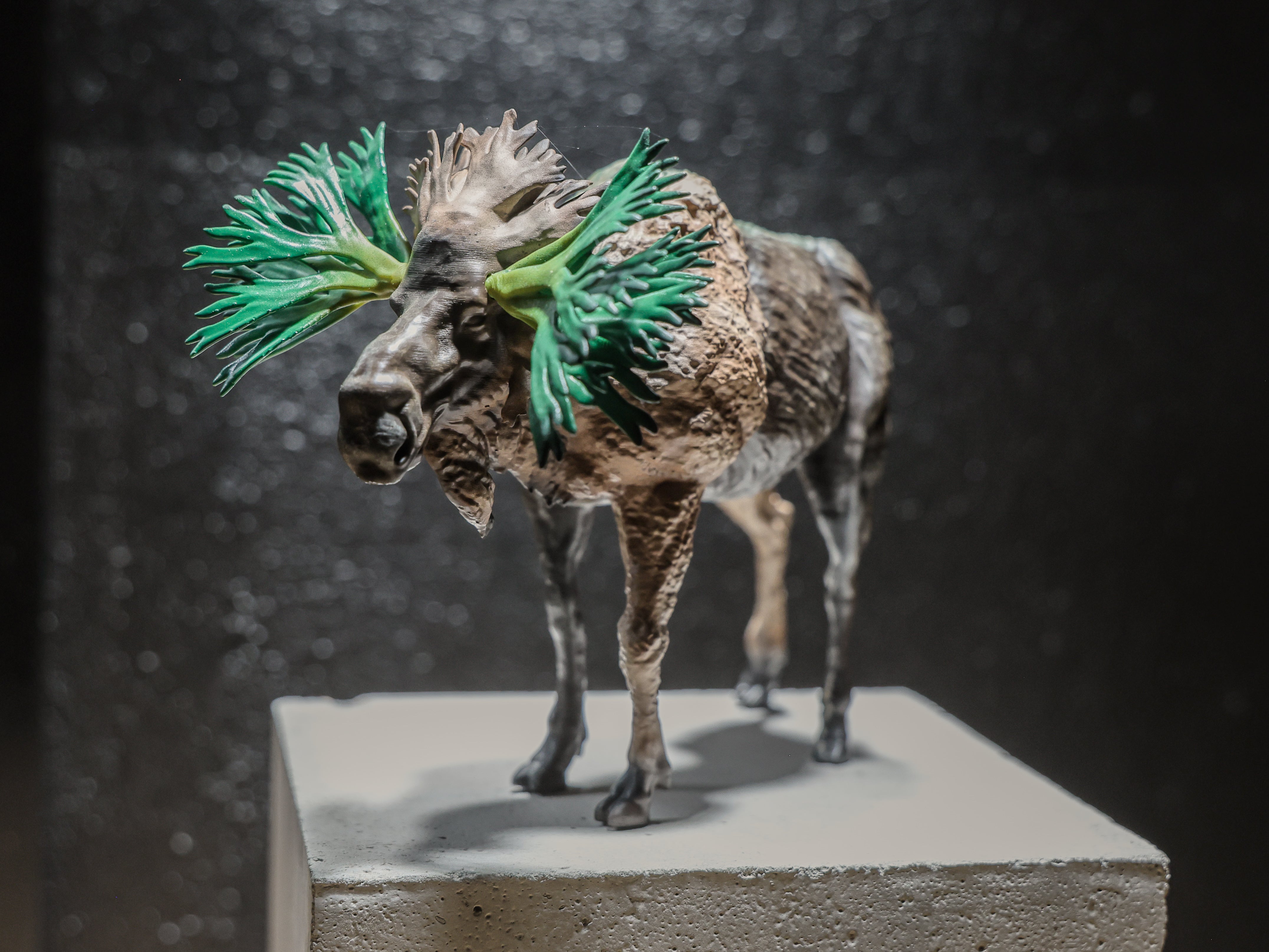 ビカクシカ　フィギュア ビカクシカフィギュア タイプヘラジカ – LOBINDON