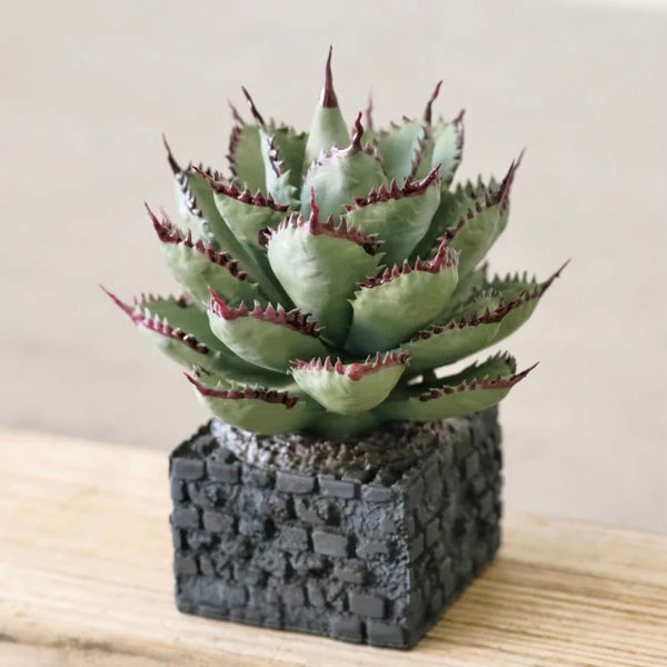 AGAVE Real Collection – LOBINDON