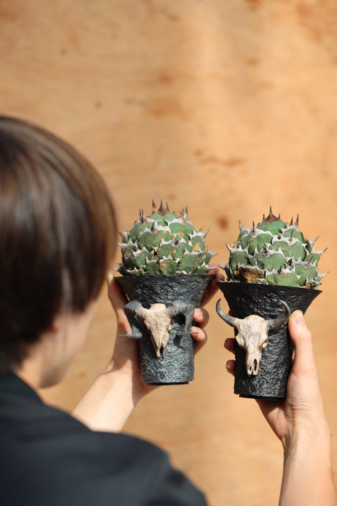 skull pot ram head – LOBINDON