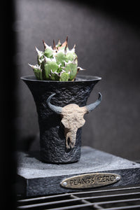 skull pot cow head