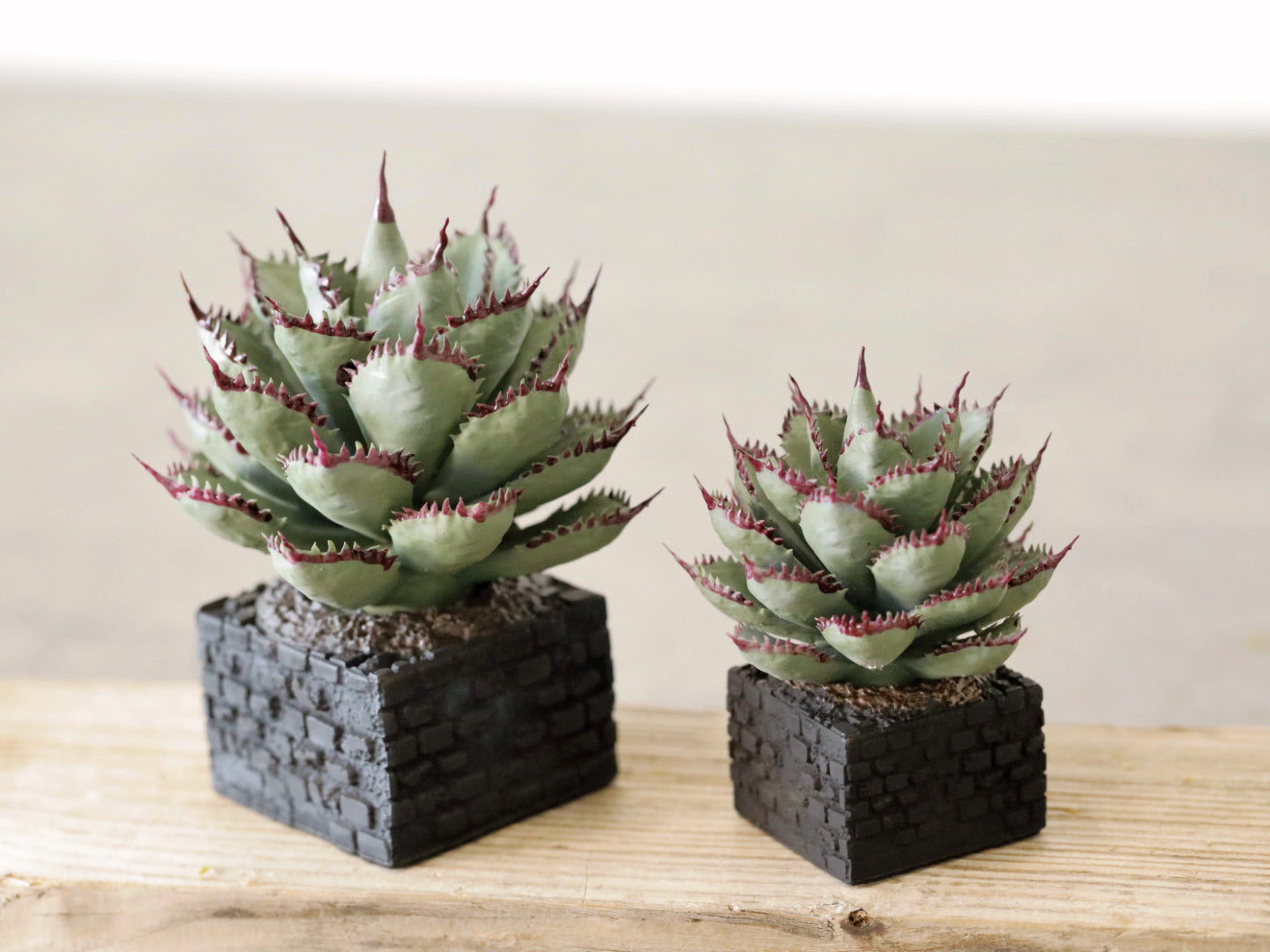 AGAVE Real Collection – LOBINDON