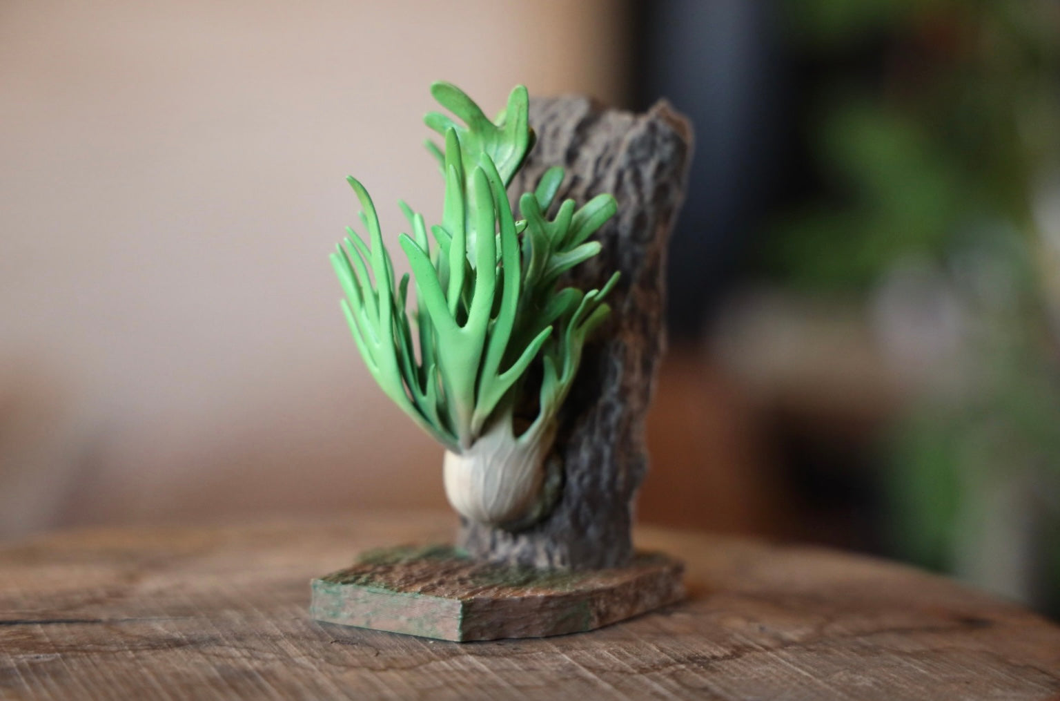 ー品販売  ビカクシダフィギュア – LOBINDON その他