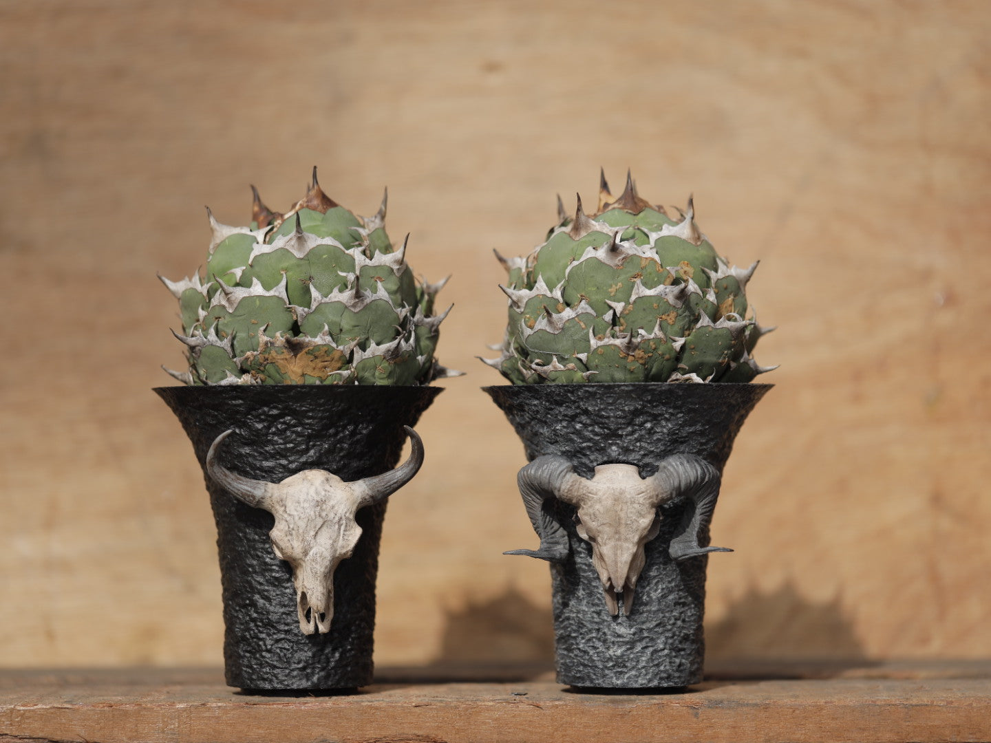skull pot ram head – LOBINDON