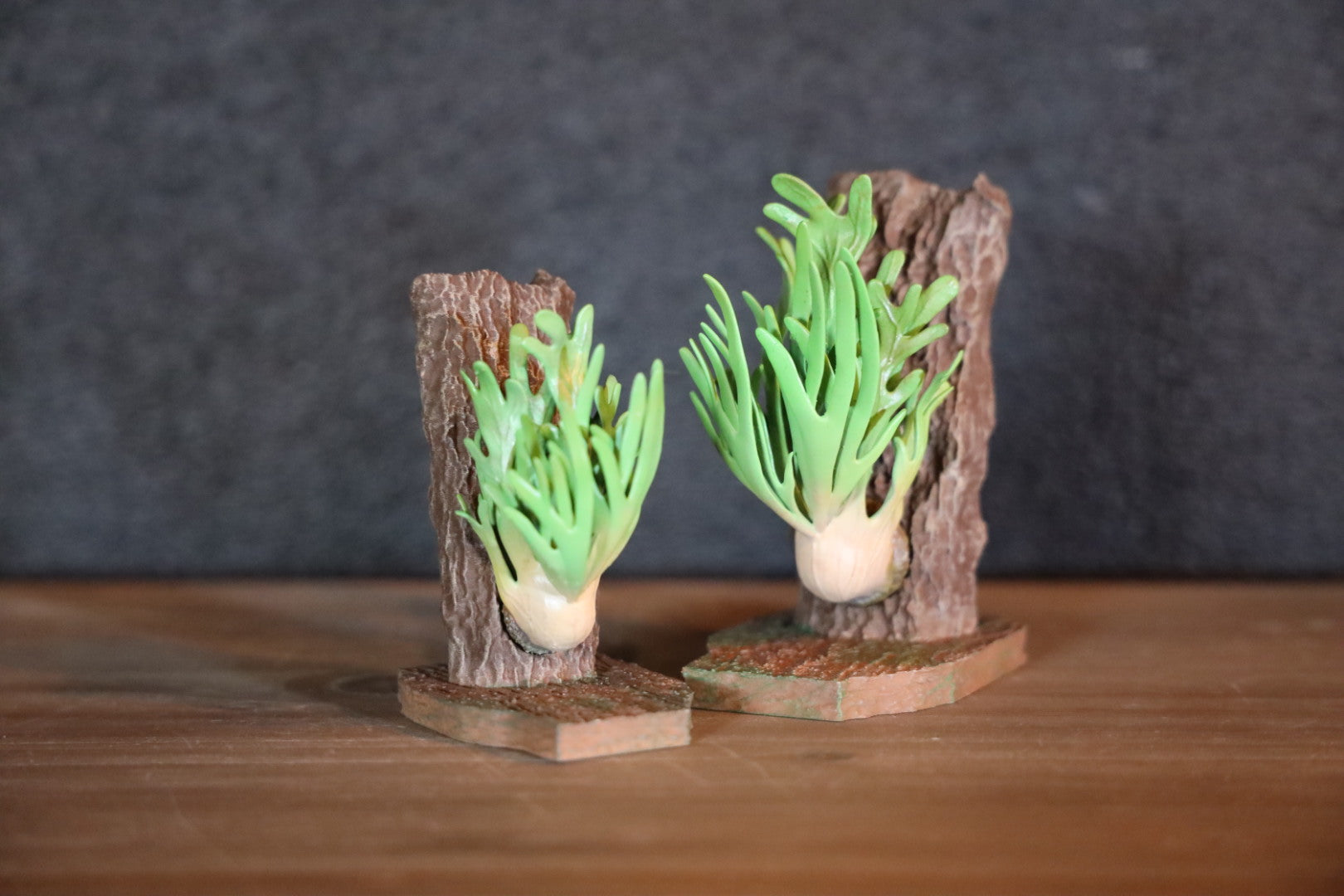 ビカクシカ　フィギュア 36dc5d759527dde3fe9363372deaa6