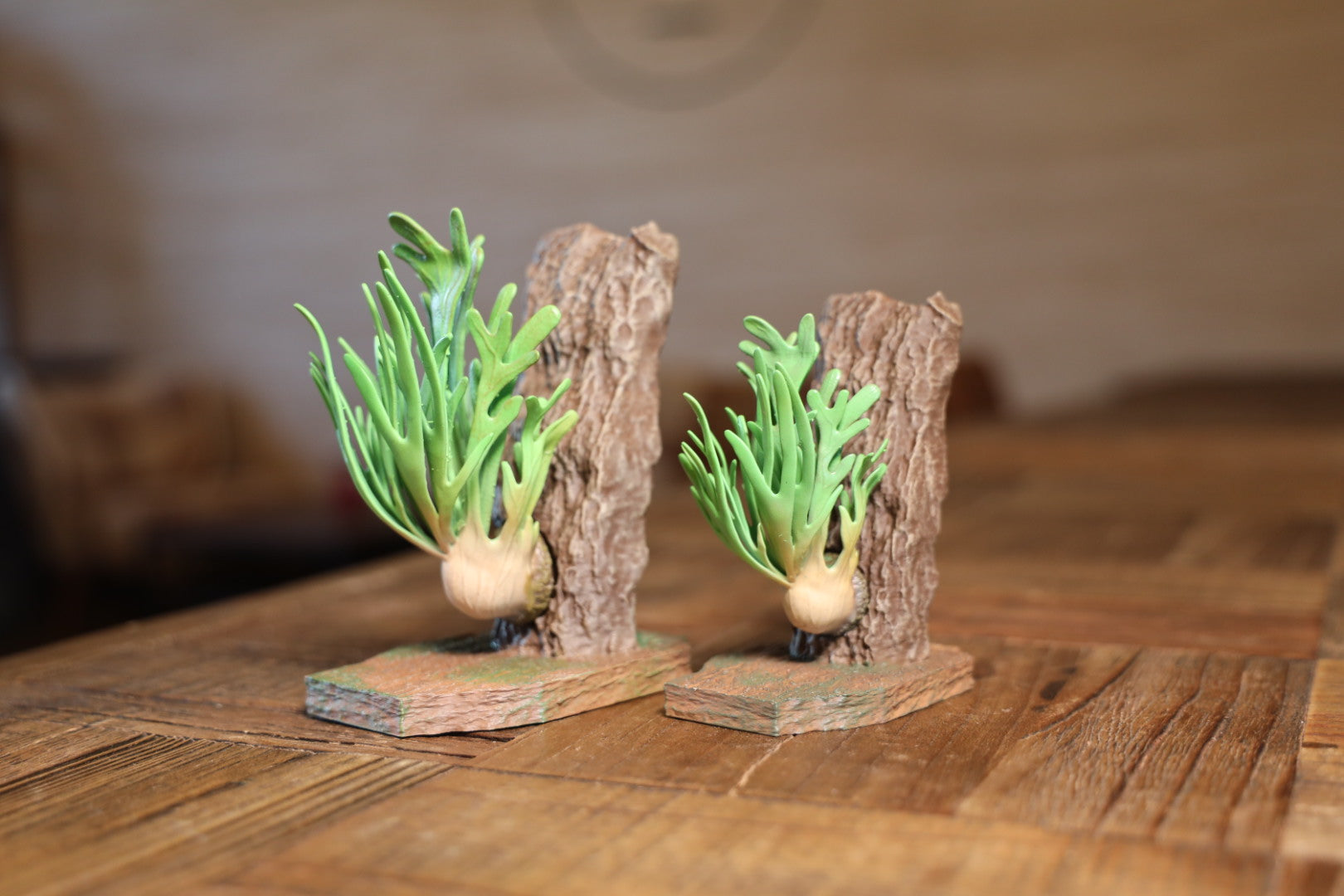 ビカクシダフィギュア ベイチー – LOBINDON