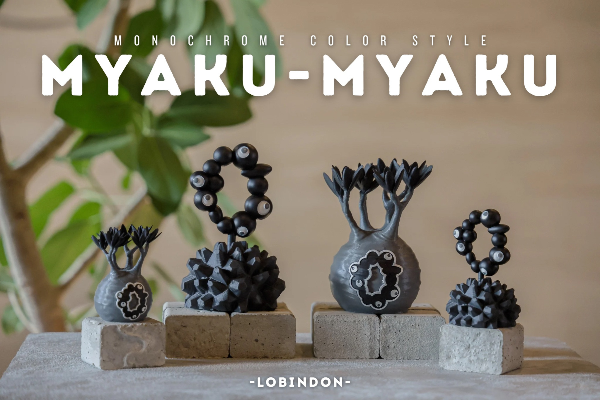 Mサイズ　LOBINDON ロビンドン ミャクミャク グラキリス 亀甲竜 塊根 Mサイズ LOBINDON ミャクミャク グラキリス 亀甲竜 塊根 ブラック 黒