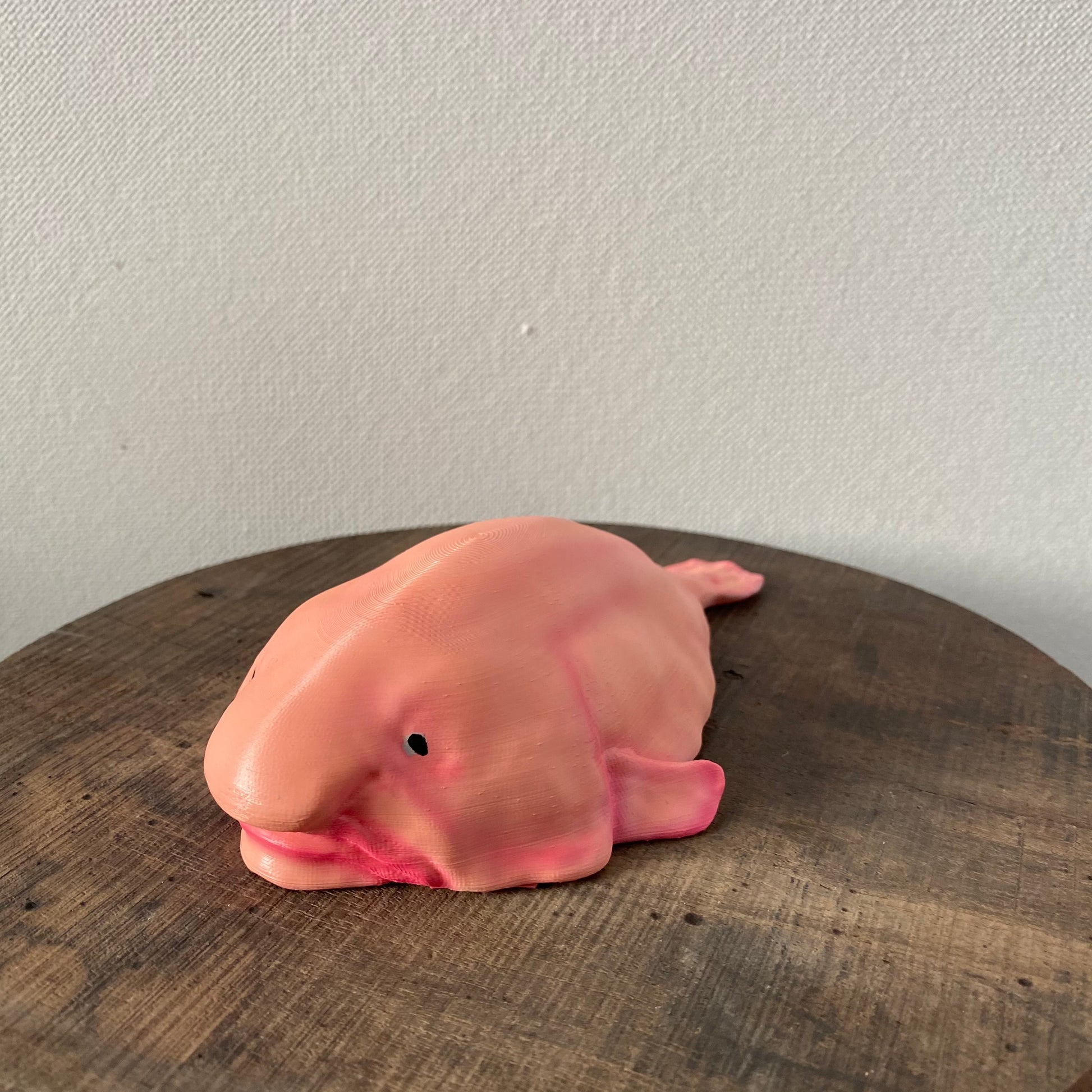 Sunny the Blobfish