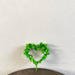 Dioscorea Mexicana Figure Heart Ssize