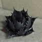アガベフィギュア　レッドキャットウィーズル　ブラック　Mサイズ
