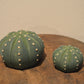 Obesa Figure Type C Msize